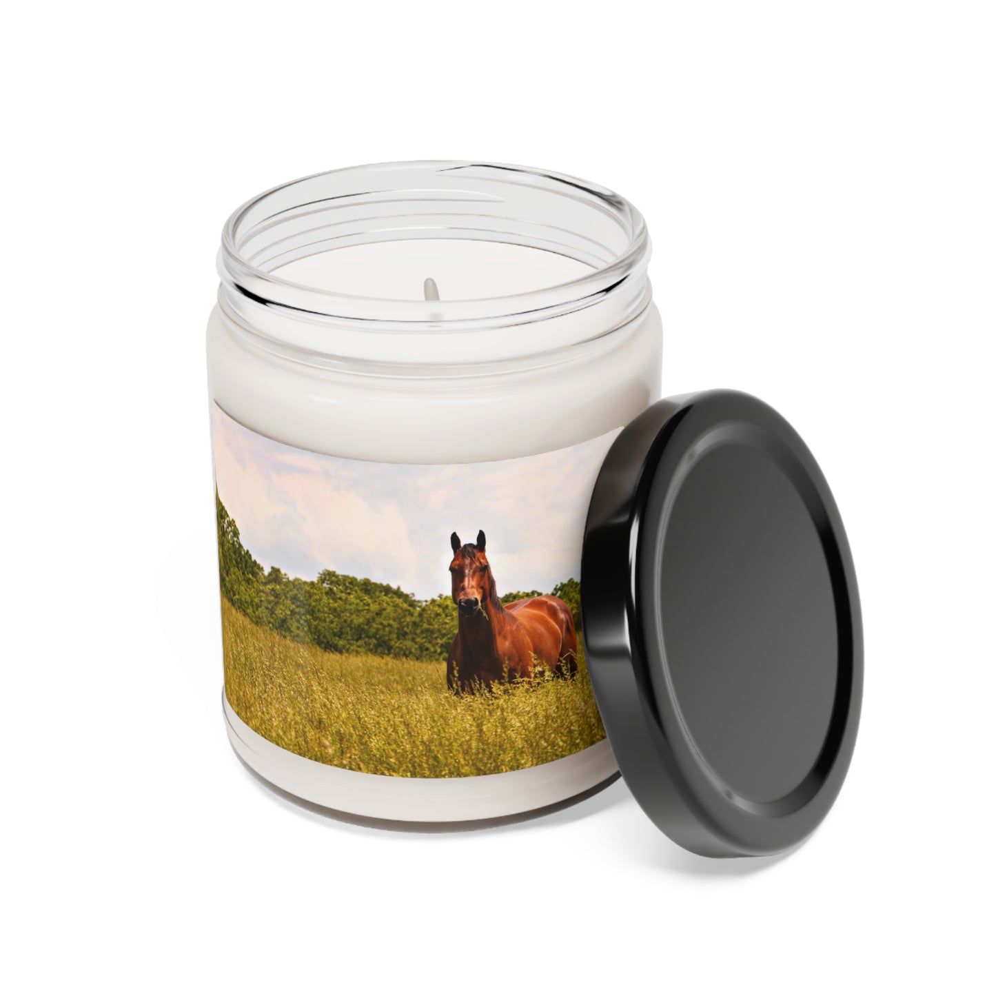 Western Cowboy Horse Photo Scented Soy Candle, 9oz