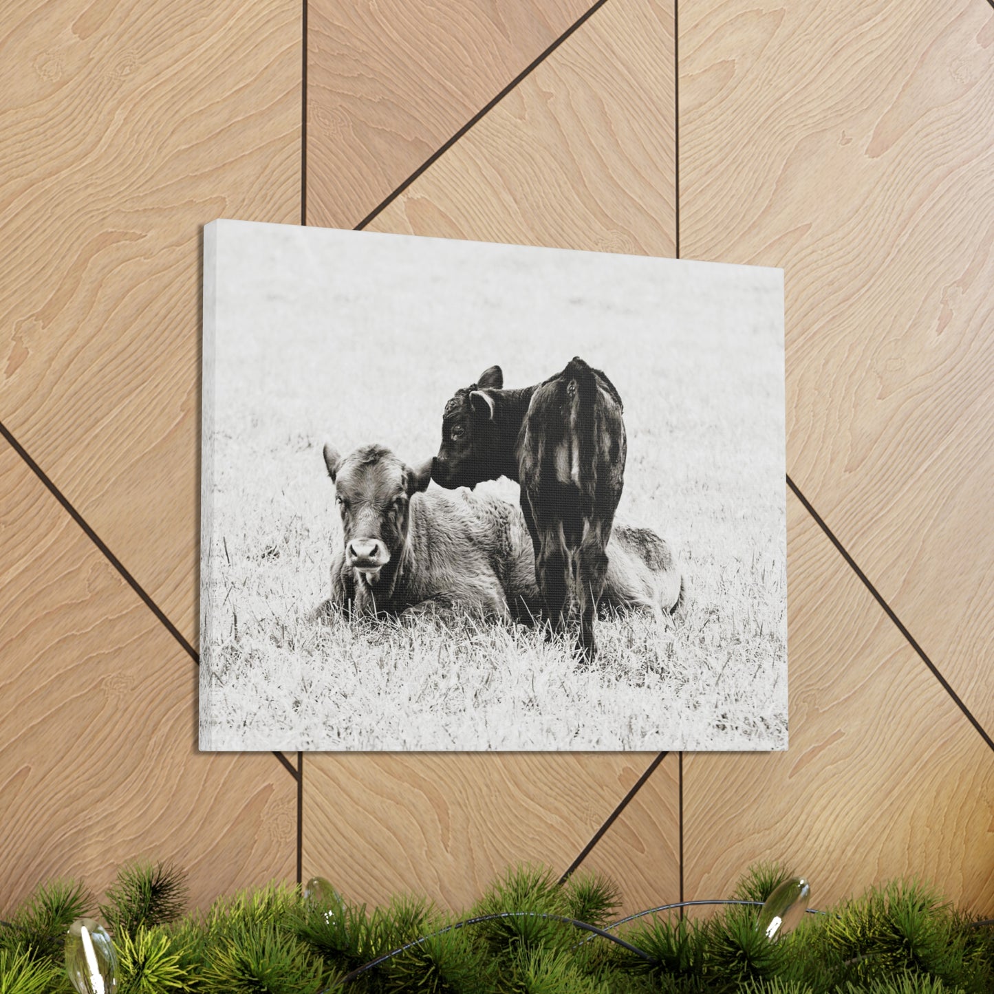 Baby Cows Canvas Gallery Wraps Farmhouse Decor