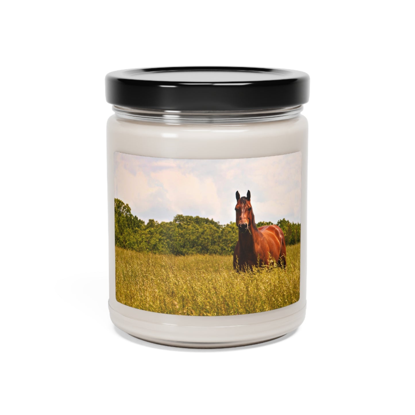 Western Cowboy Horse Photo Scented Soy Candle, 9oz