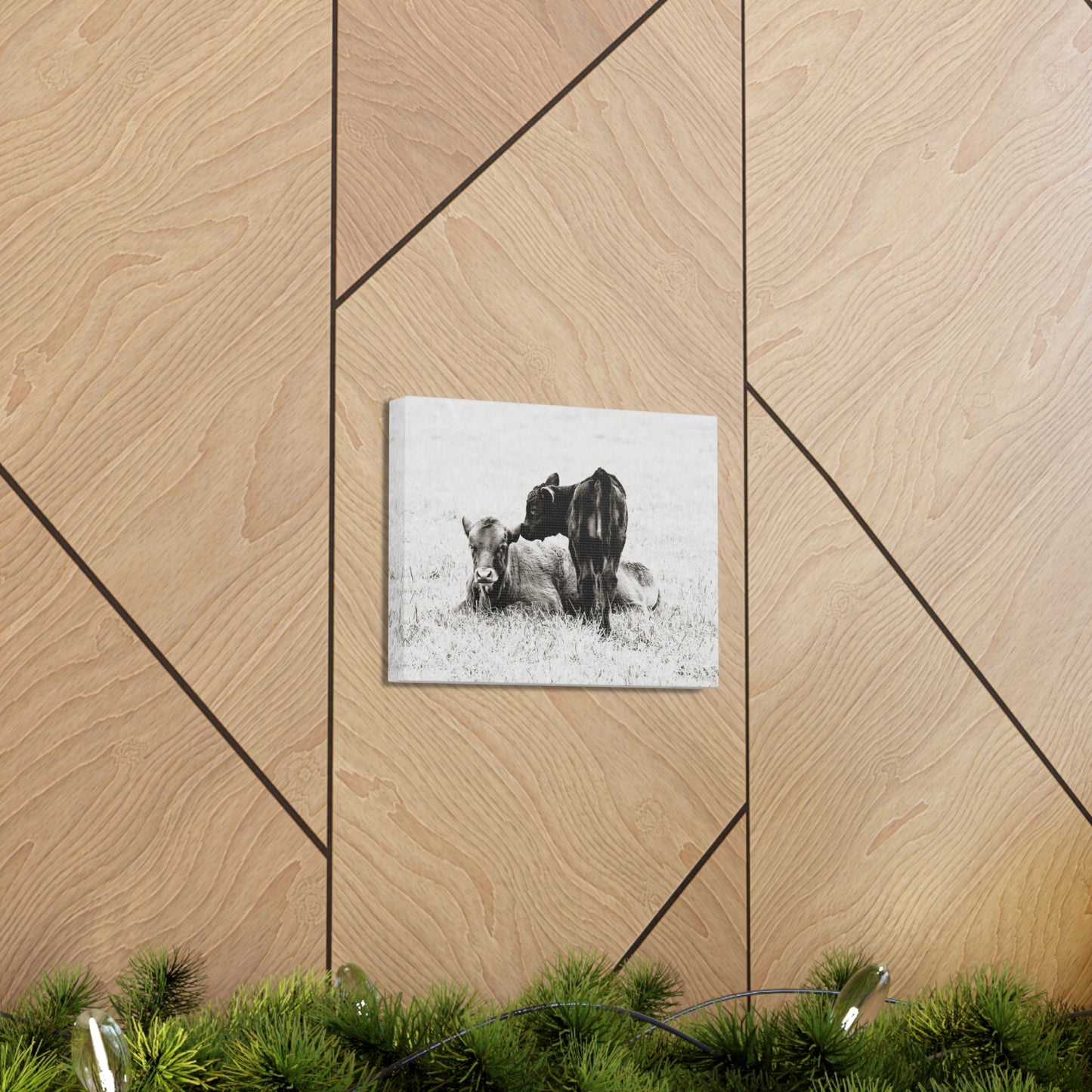 Baby Cows Canvas Gallery Wraps Farmhouse Decor