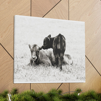 Baby Cows Canvas Gallery Wraps Farmhouse Decor