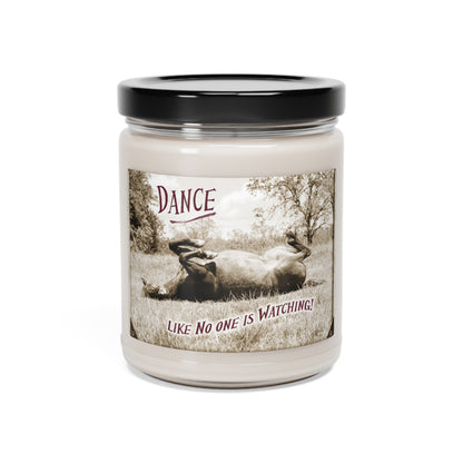 Dance like no one is Watching Horse Cowboy Western CandleScented Soy Candle, 9oz